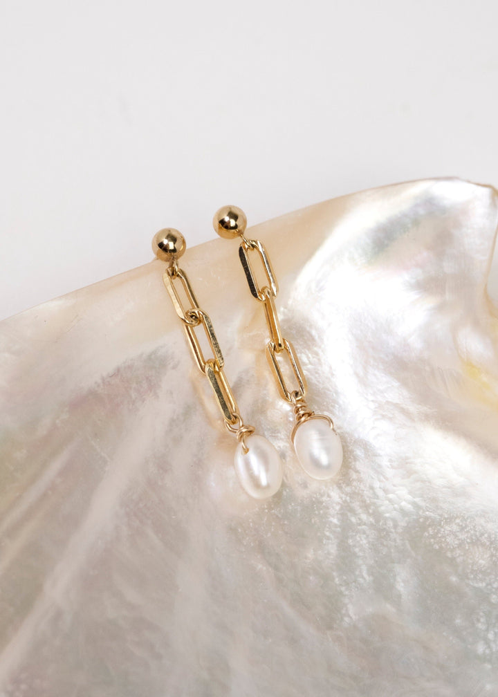 Earrings with freshwater pearl dangling in gold-filled short paperclip chain